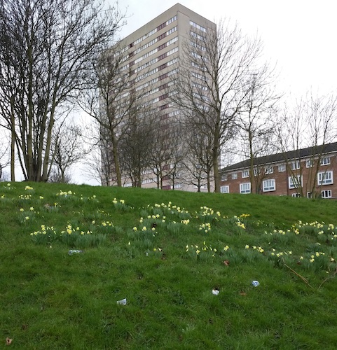 fleurs birmingham immeuble