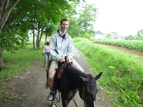 cheval à Hokkaido