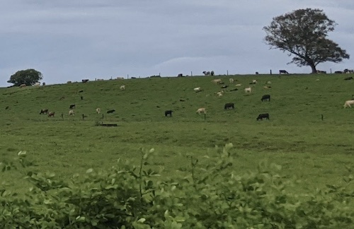 plateau de Taravao