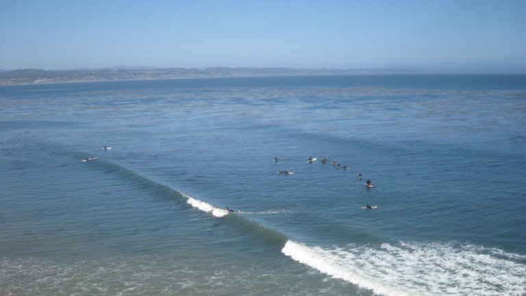 surfeurs qui attendent pour rien